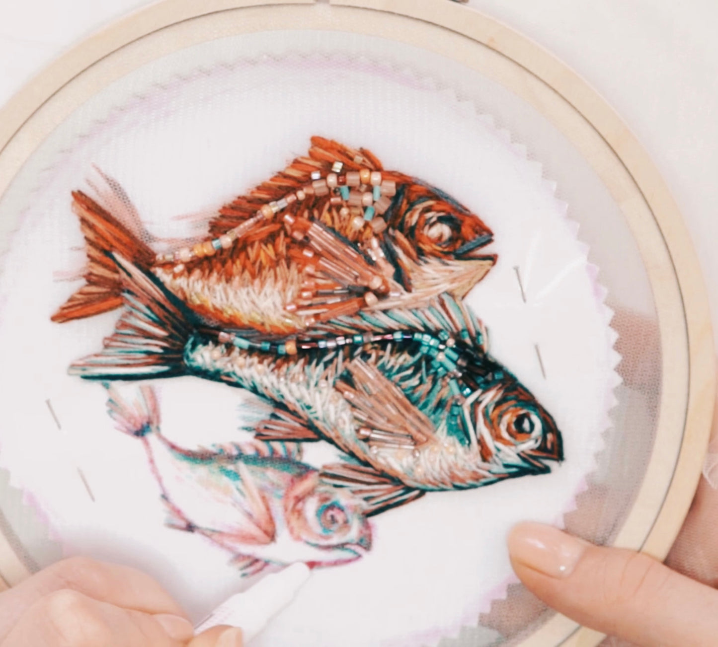 FISH SEASON